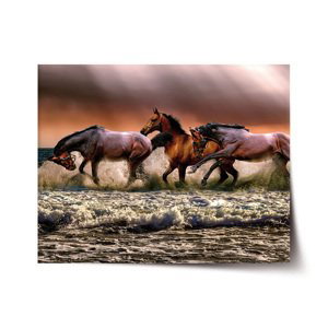 Plakát Koně ve vodě - 60x40 cm