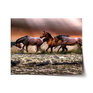 Plakát Koně ve vodě - 90x60 cm