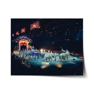 Plakát Cirkus - 90x60 cm