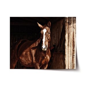 Plakát Kůň ve stáji - 120x80 cm