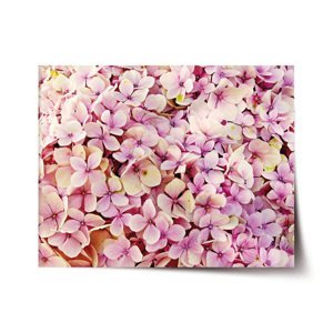 Plakát Růžové květy - 90x60 cm