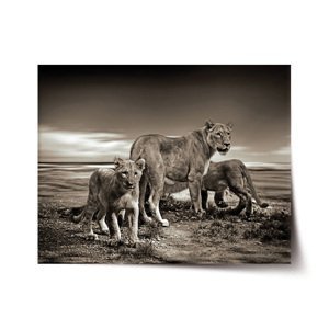 Plakát Lvice a lvíčata - 60x40 cm