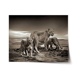 Plakát Lvice a lvíčata - 90x60 cm