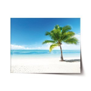 Plakát Palma na pláži - 120x80 cm