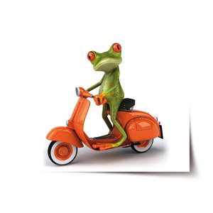 Plakát Žába na motorce - 90x60 cm