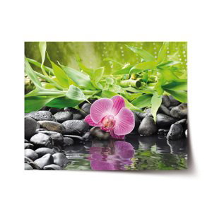 Plakát Růžová orchidej - 60x40 cm