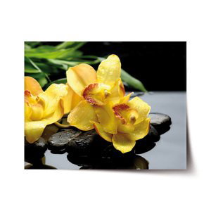 Plakát Žluté orchideje - 120x80 cm