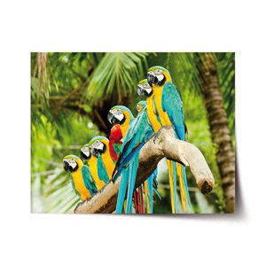 Plakát Papoušci na větvi - 90x60 cm