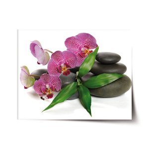 Plakát Orchideje a kameny - 60x40 cm