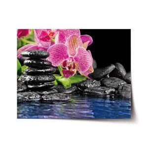 Plakát Orchidej na kamenech - 60x40 cm