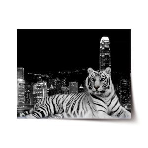 Plakát Městský tygr - 60x40 cm