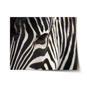 Plakát Detail zebra - 90x60 cm