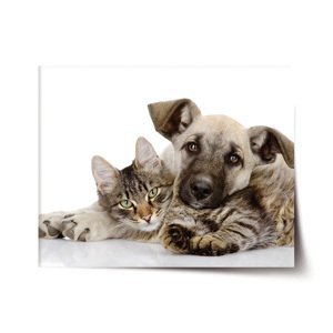 Plakát Kočička a štěňátko - 90x60 cm