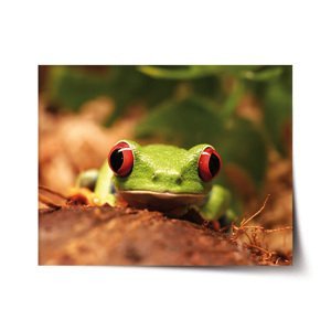 Plakát Zelená žába - 120x80 cm