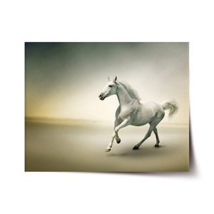 Plakát Bílý kůň 2 - 90x60 cm