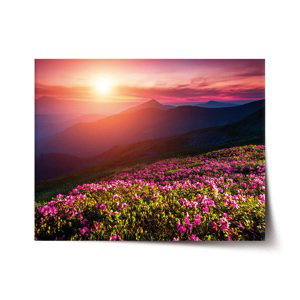 Plakát Rozkvetlá příroda - 60x40 cm