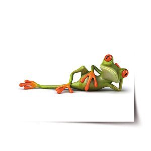 Plakát Ležící žába - 90x60 cm