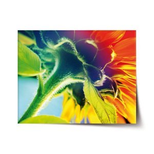 Plakát Duhová květina - 90x60 cm