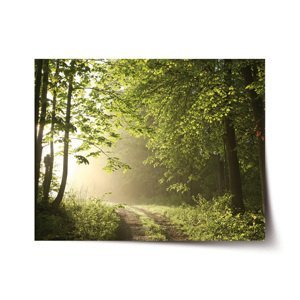 Plakát Lesní cesta - 120x80 cm