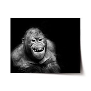 Plakát Orangutan - 60x40 cm