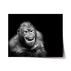 Plakát Orangutan - 90x60 cm