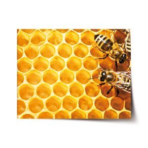 Plakát Včely - 90x60 cm