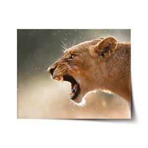 Plakát Rozzuřená lvice - 60x40 cm