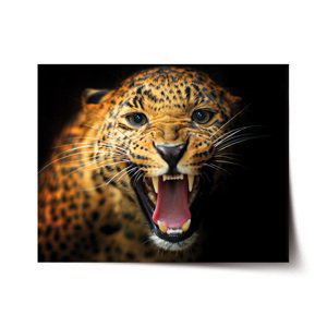 Plakát Gepard 2 - 90x60 cm