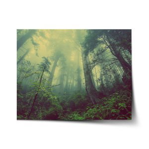 Plakát Temný les - 90x60 cm