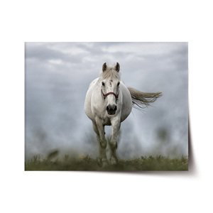 Plakát Bílý kůň 3 - 90x60 cm