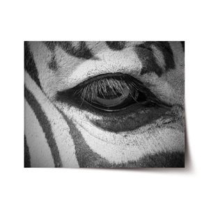 Plakát Oko zebry - 120x80 cm