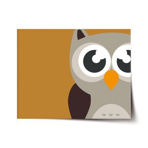 Plakát Kreslená sova - 90x60 cm