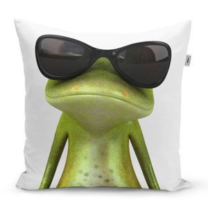 Polštář Žába v brýlích - 40x40 cm