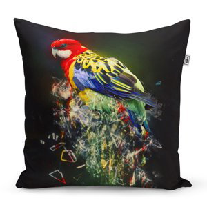 Polštář Barevný papoušek - 50x50 cm