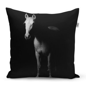Polštář Kůň ve stínu - 50x50 cm