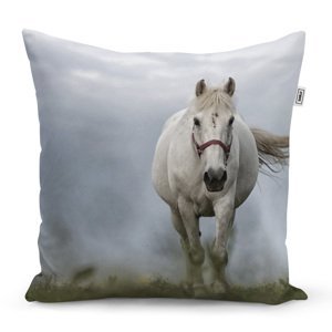 Polštář Bílý kůň 3 - 50x50 cm