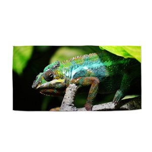 Ručník Chameleon - 70x140 cm