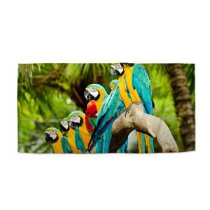 Ručník Papoušci na větvi - 70x140 cm