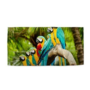 Ručník Papoušci na větvi - 50x100 cm