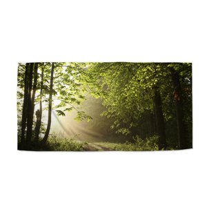 Ručník Lesní cesta - 50x100 cm