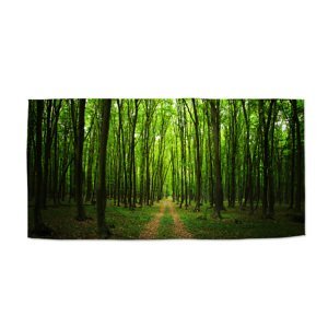 Ručník Cesta v lese - 50x100 cm