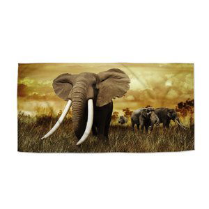Ručník Slon Africký - 30x50 cm