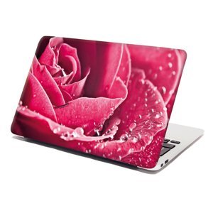 Samolepka na notebook Detail růže - 29x20 cm