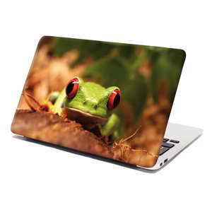 Samolepka na notebook Zelená žába - 38x26 cm