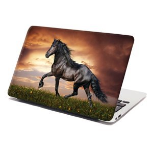 Samolepka na notebook Friský kůň - 29x20 cm