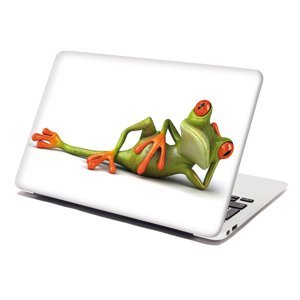 Samolepka na notebook Ležící žába - 38x26 cm