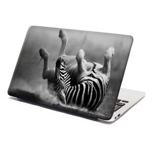 Samolepka na notebook Válející se zebra - 38x26 cm