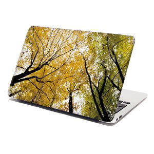 Samolepka na notebook Koruny stromů - 38x26 cm
