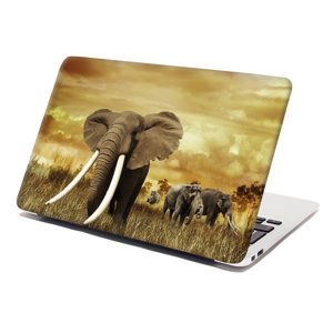 Samolepka na notebook Slon Africký - 38x26 cm