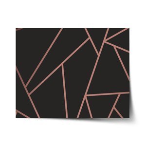 Plakát Růžové obrazce - 60x40 cm